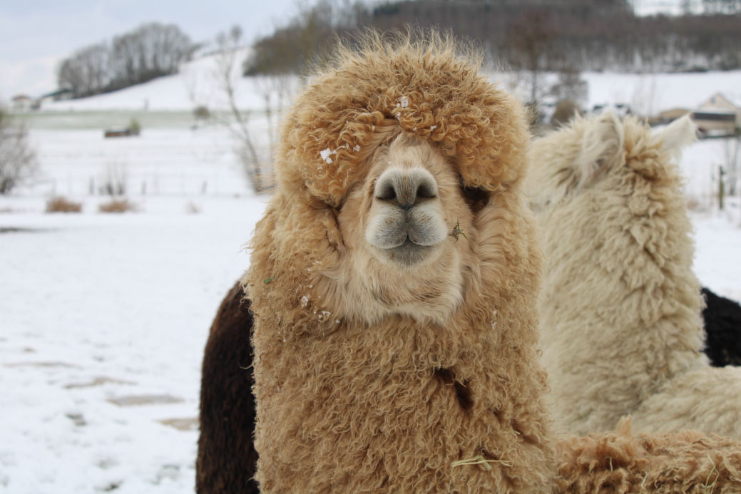 Winter