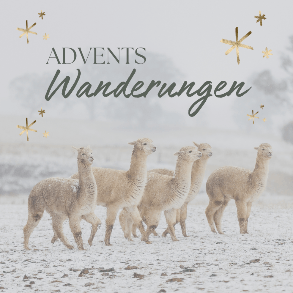Adventswanderung