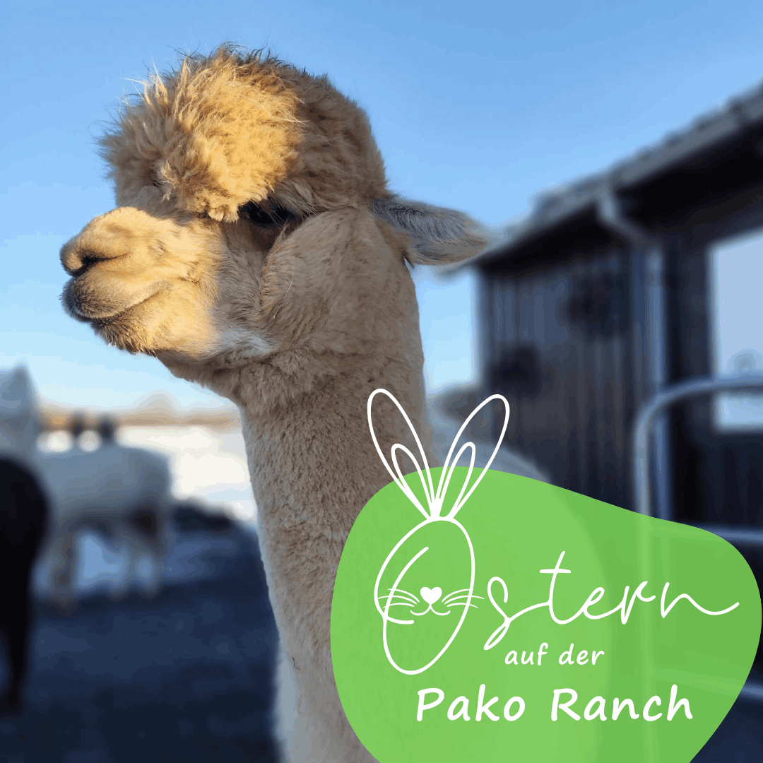 Ostern auf der Pako Ranch